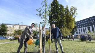 ŠKODA posadziła milion drzew w ramach akcji „Drzewo za każdy samochód”