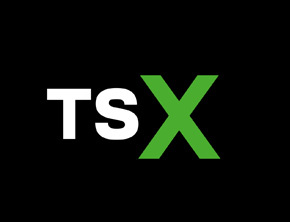 Dyrektor generalny ŠKODA AUTO, Thomas Schäfer, wprowadza nowy format „TS X” na platformie LinkedIn